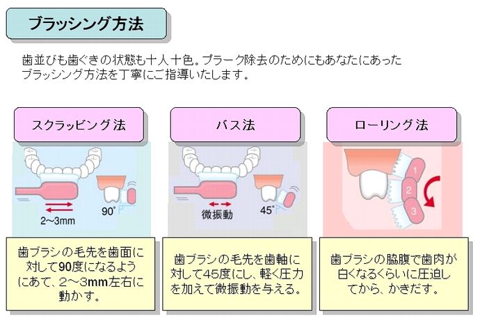 ブラッシング指導/銀座(東京)の歯科・歯科医院 アレーズ銀座（歯医者 ...