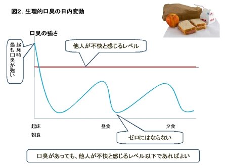 生理的口臭の日内変動