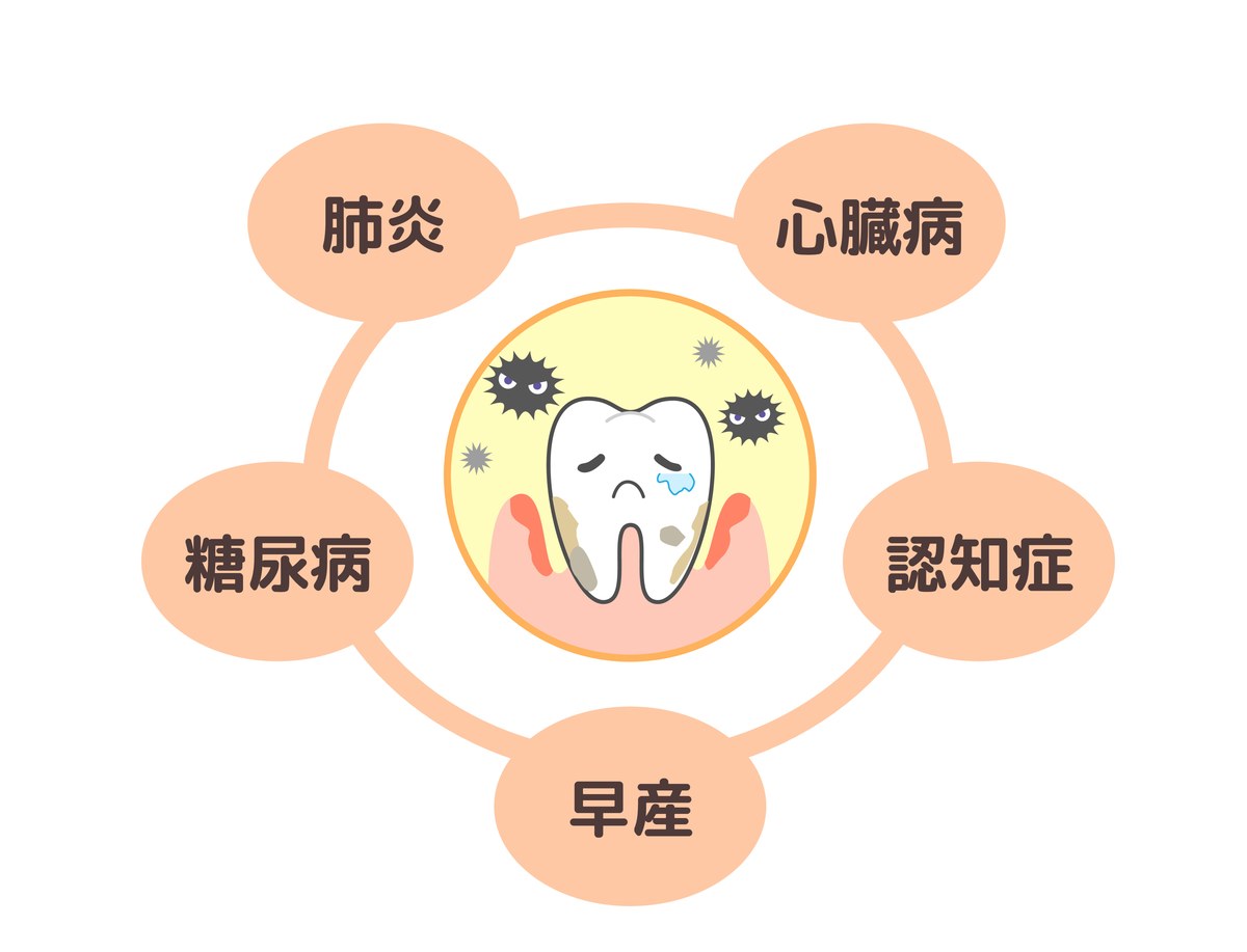 全身の健康との関わり