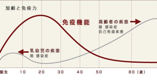 アンチエイジングドックの必要性