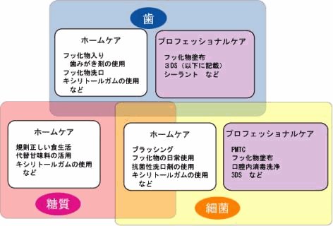 むし歯リスク診断および歯周病リスク診断